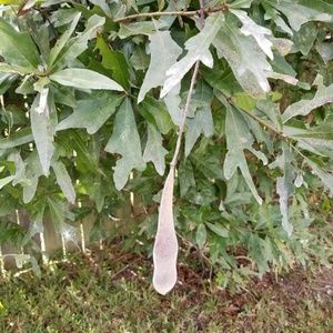 Meet your Posher, Arthur